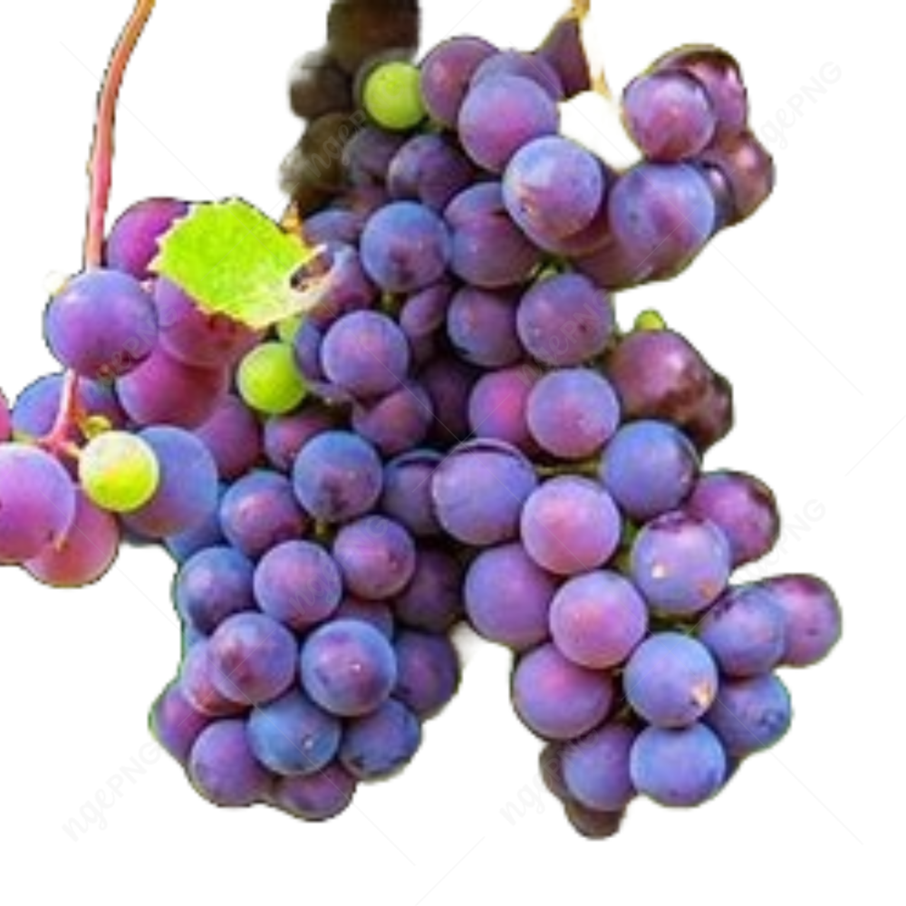 Red Grapes Royalty
