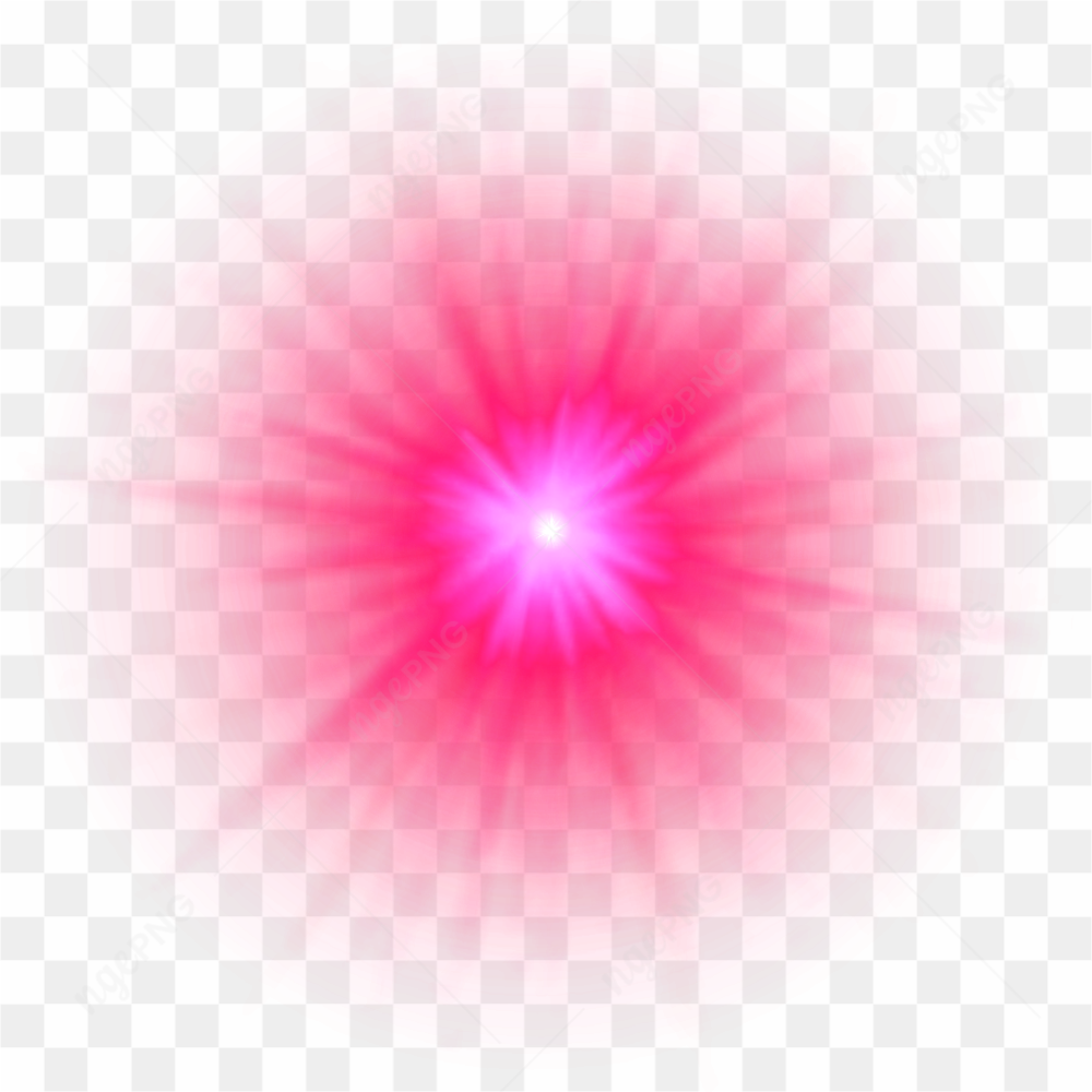Gros plan d\'une rose rose embrasse par la rose 