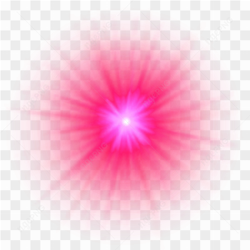 Gros plan d\'une rose rose embrasse par la rose