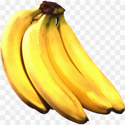 Abondance banane tropicale