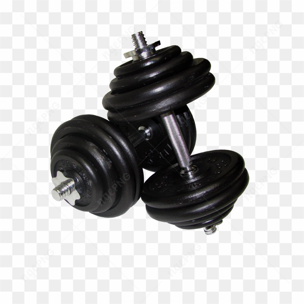 Musculation avec haltres 