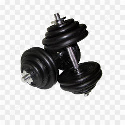 Musculation avec haltres 