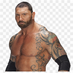 Univers de la WWE