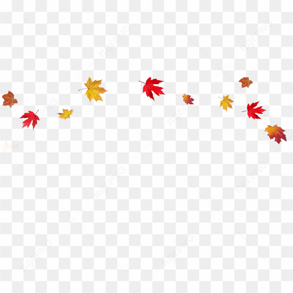 Des feuilles colores dansent dans le vent