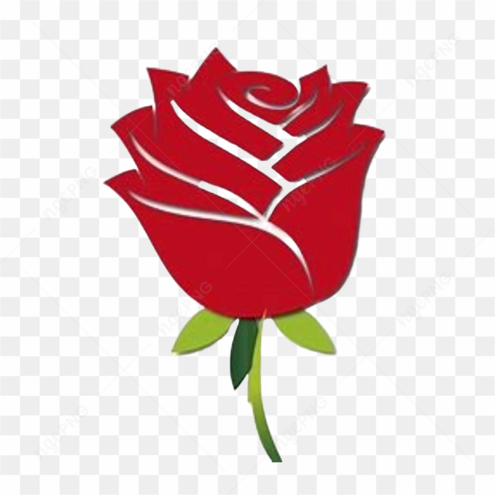 Rose Red Flower