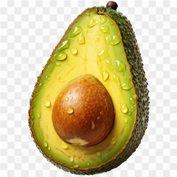 Fresh Avocado Fruit