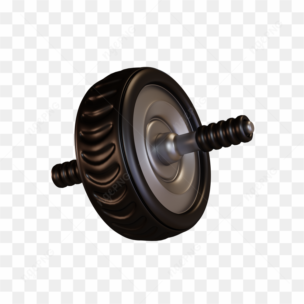 Gym Roller Dumbell