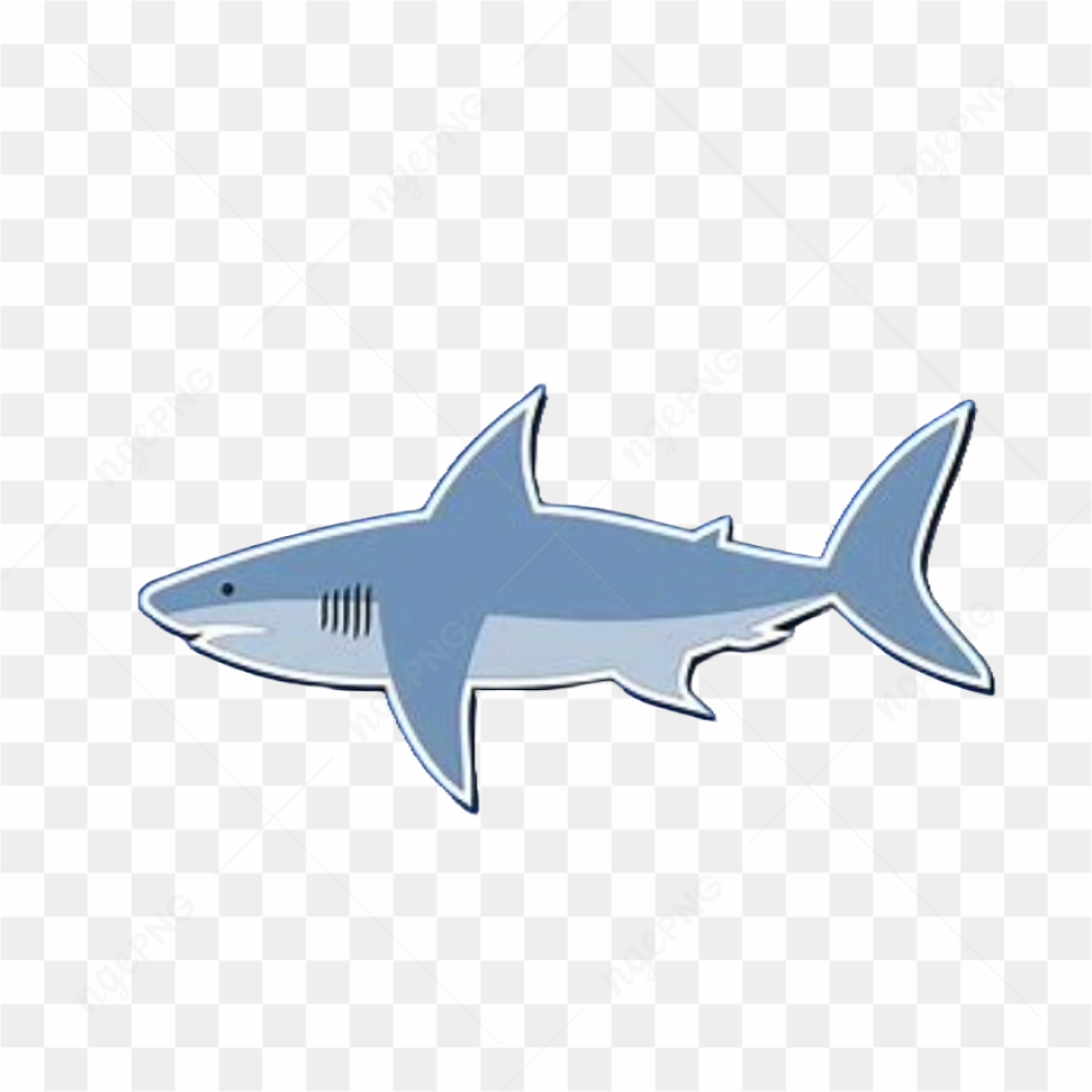 Shark animation cartoon