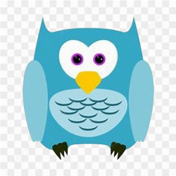 Owl animal animation