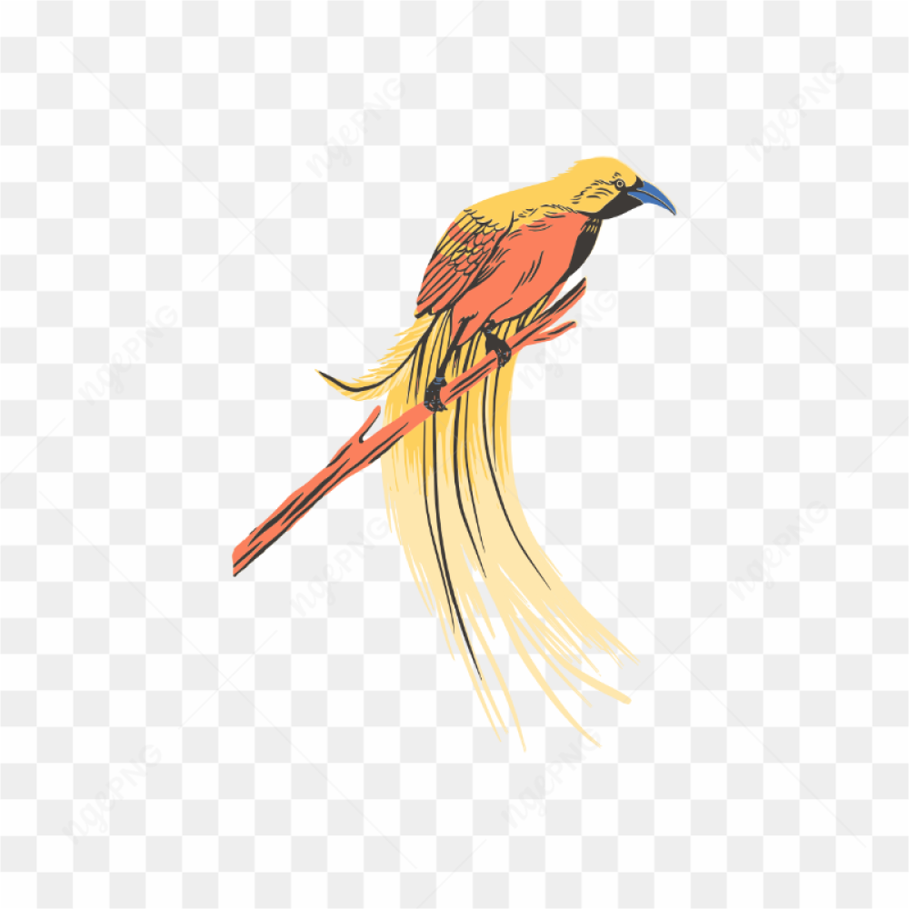 Bird in tree