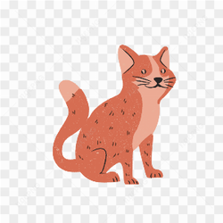 Cat transparent image