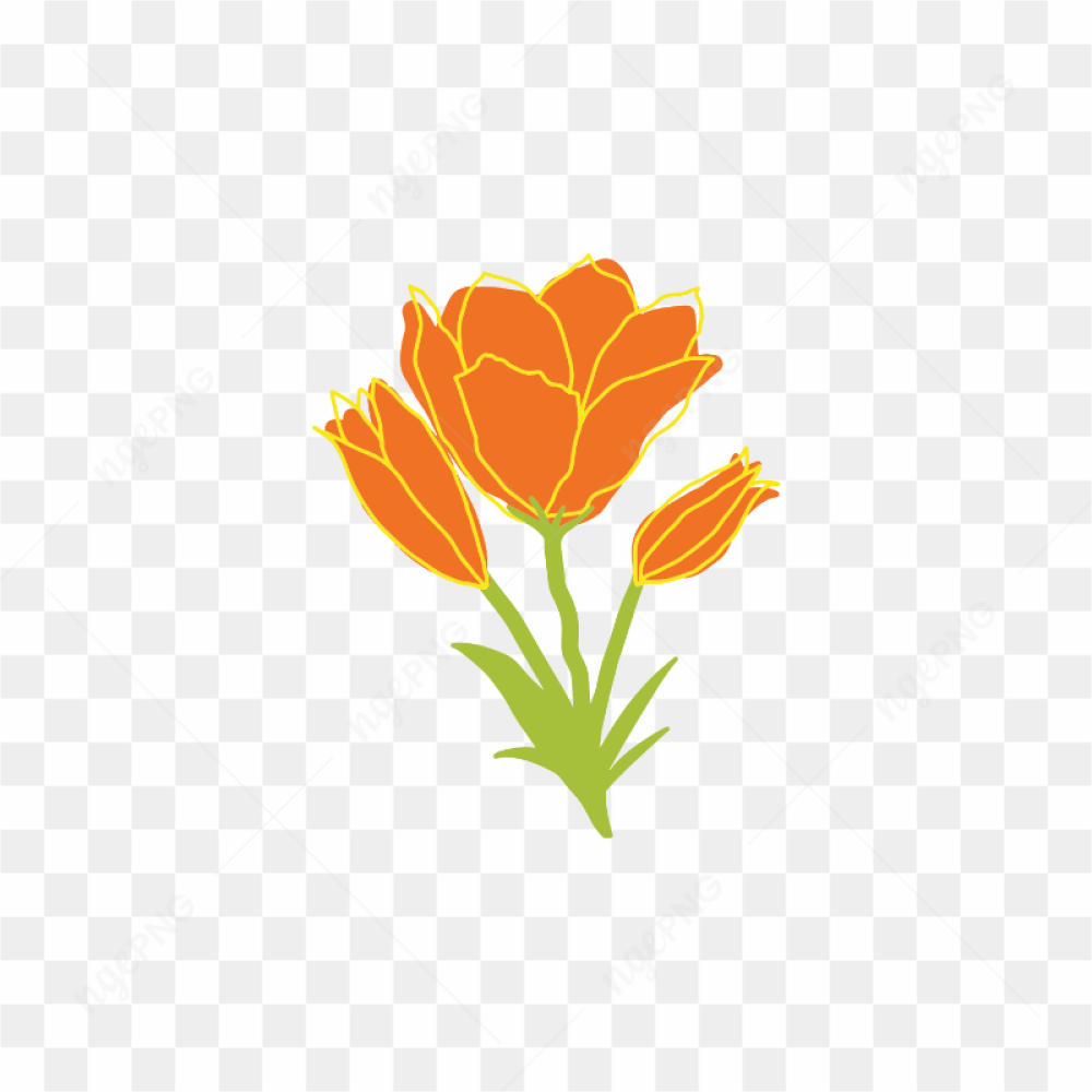Transparent flowers images