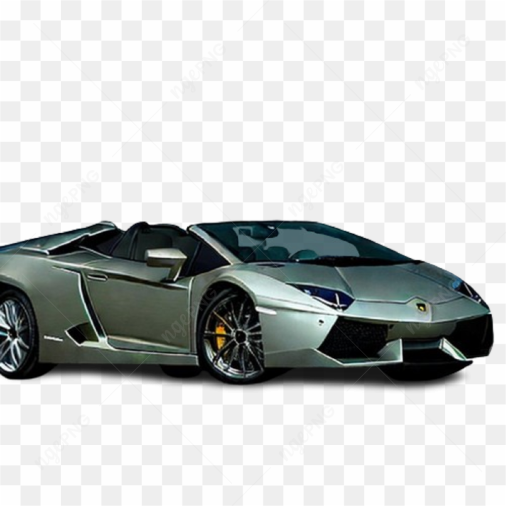 Lamborghini cars racing