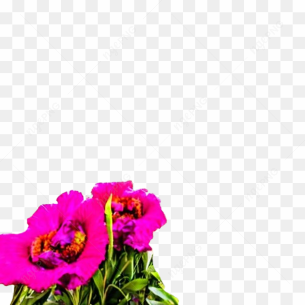 Flowers peru spring