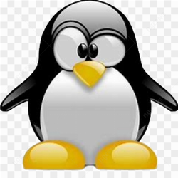 Animation animal penguin