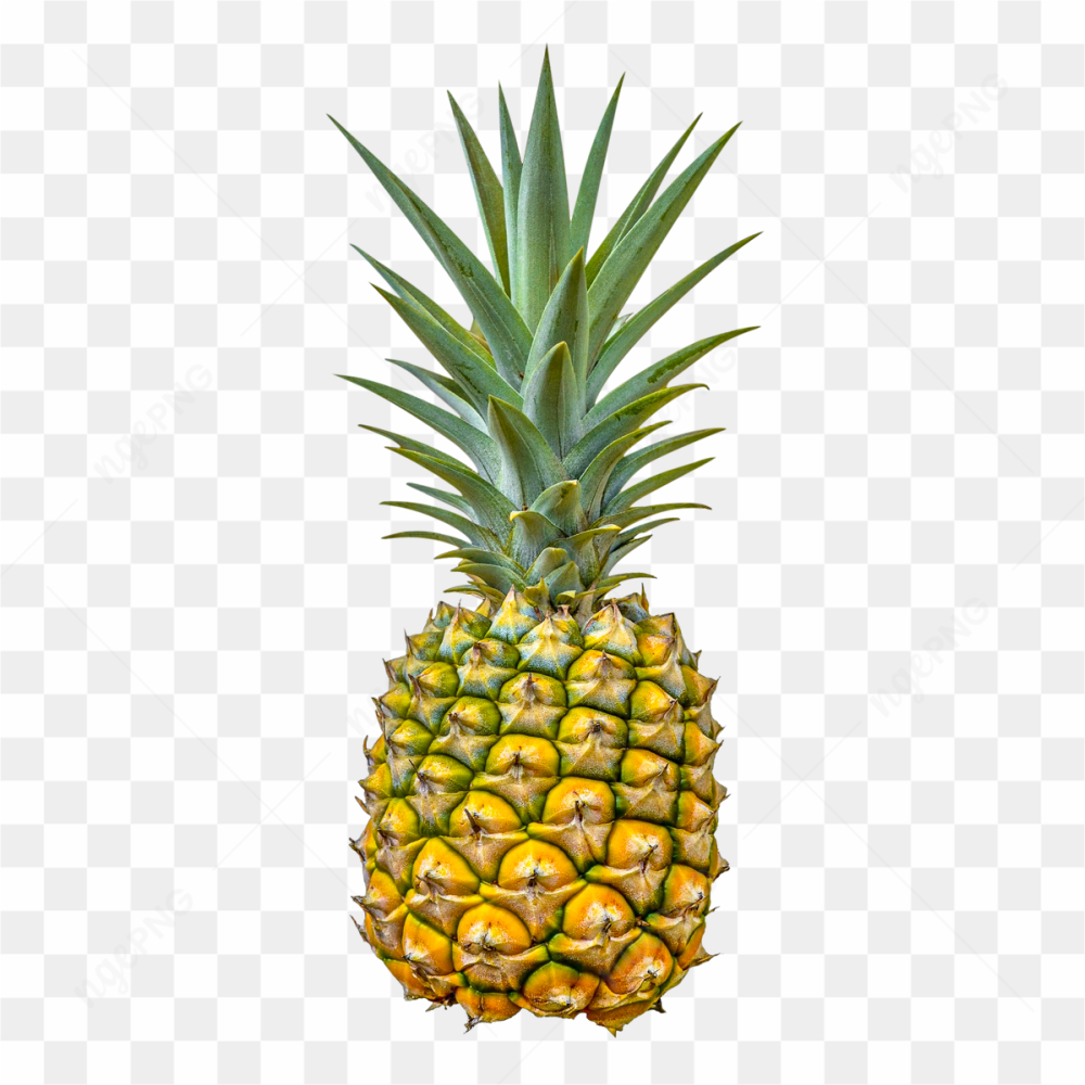 Fresh Pineapple Fruit
