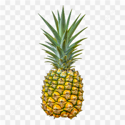 Fresh Pineapple Fruit