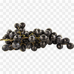 Grapes pic png 