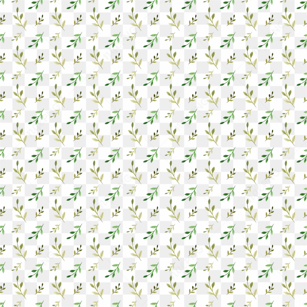 Frame beauty png 