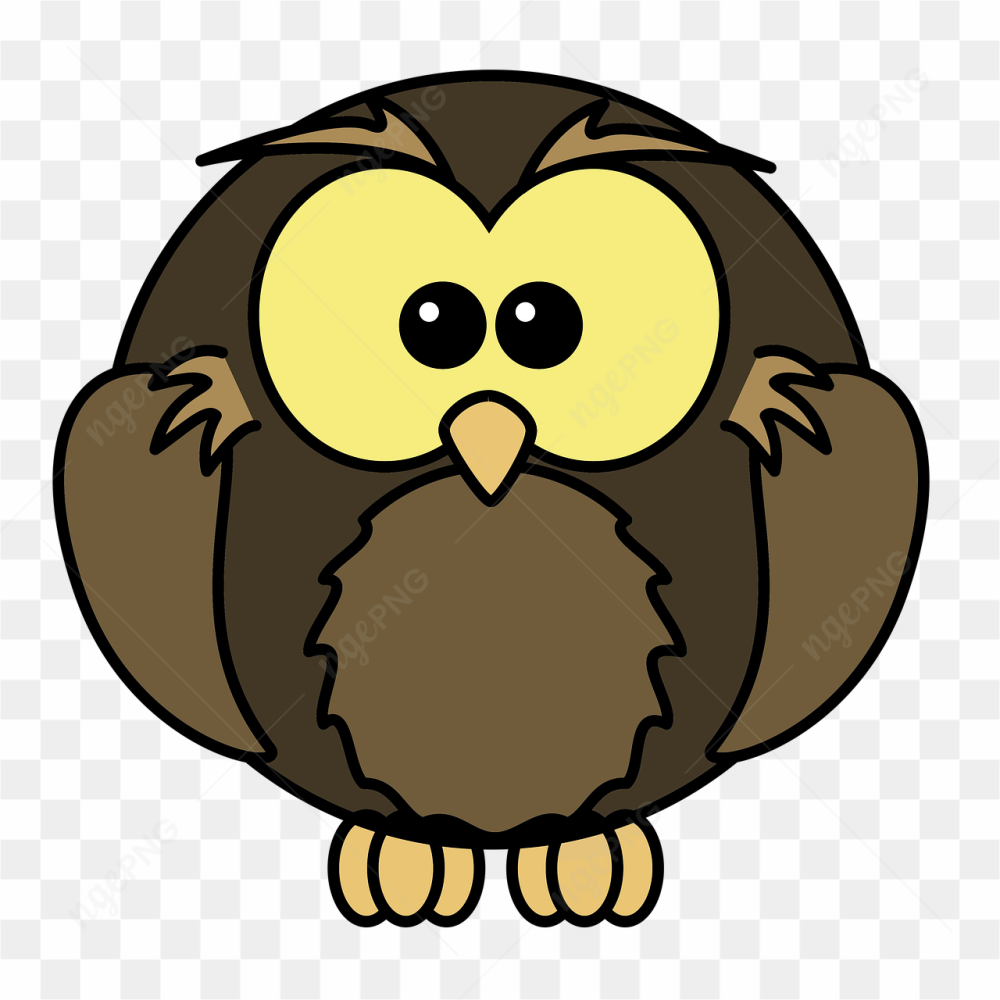 Owl owl png