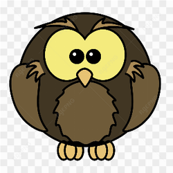 Owl owl png