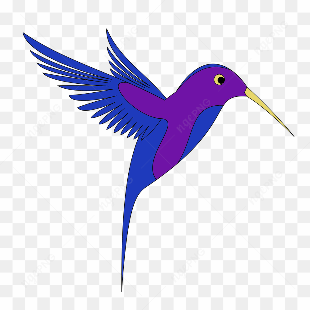 Bird bird png 