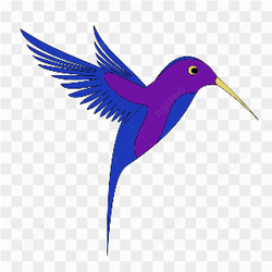 Bird bird png 