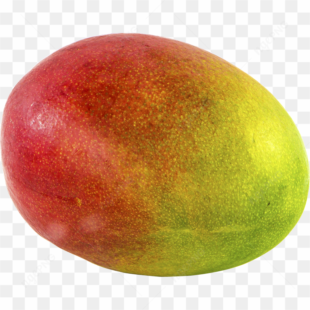 Mango fruit picture 