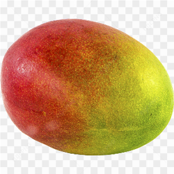 Mango fruit picture 