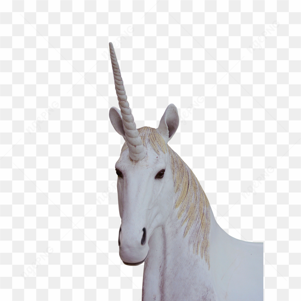Unicorn horses picture 