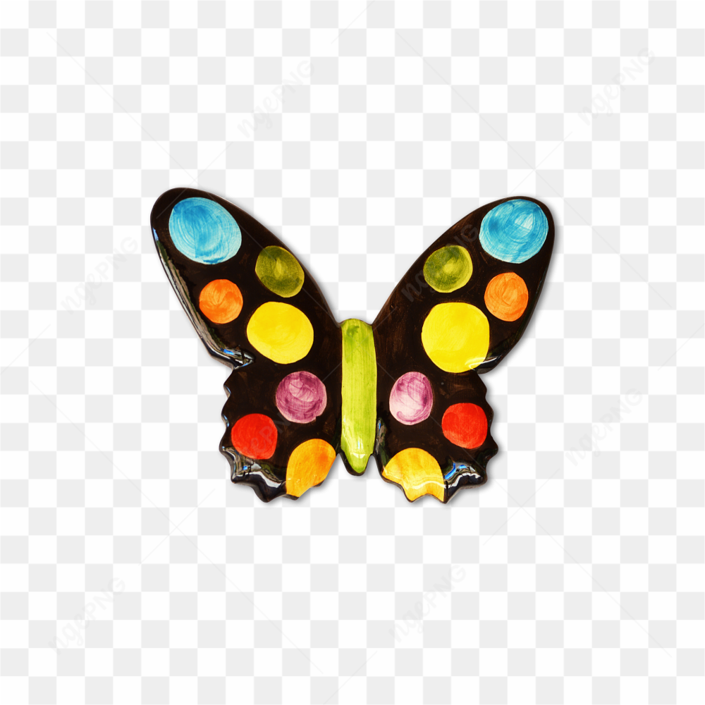 Colored Butterfly pic