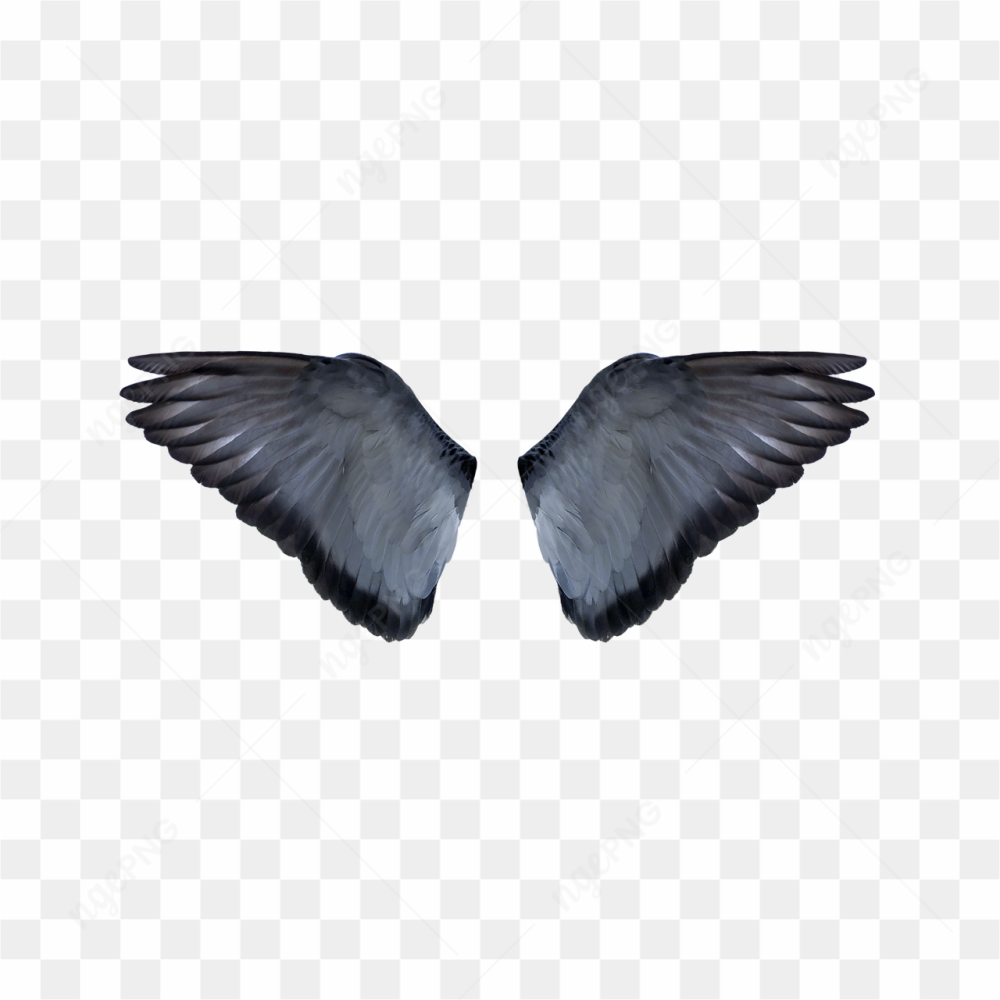 Dark Angel wing 