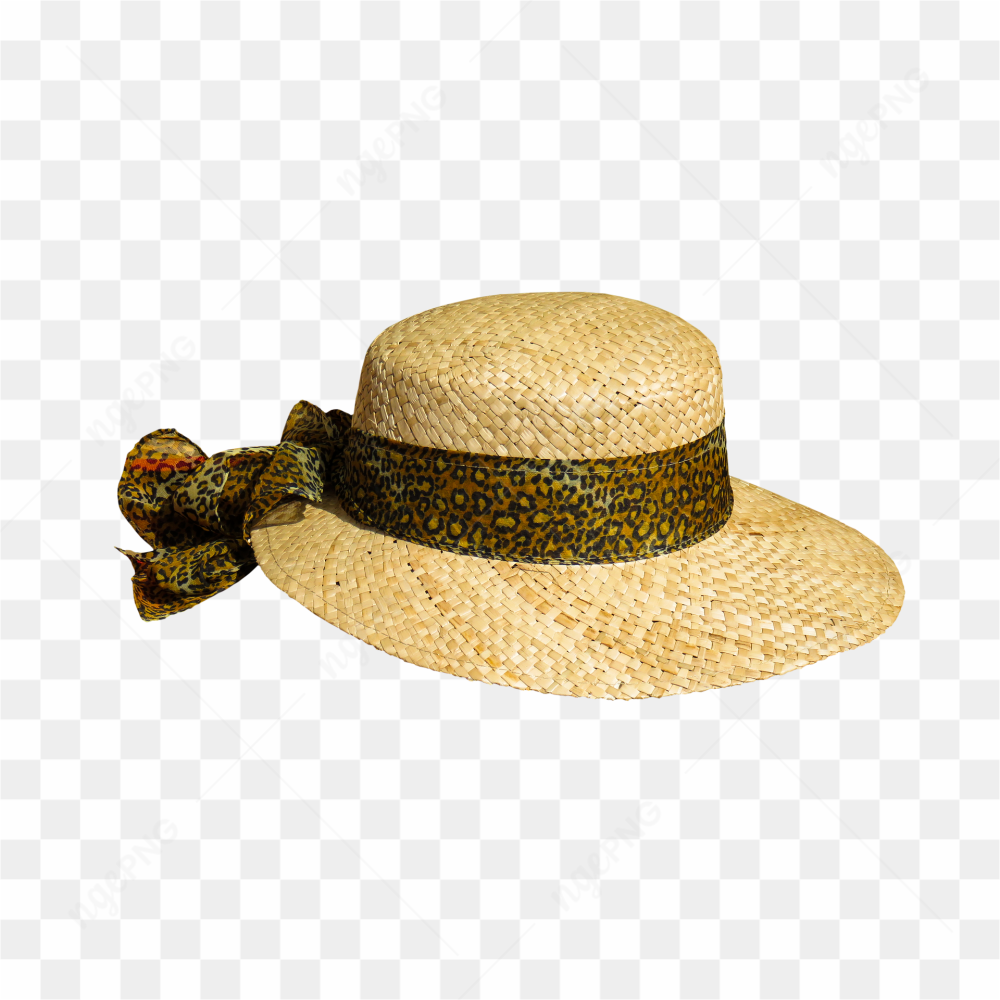 Fancy hat pic 