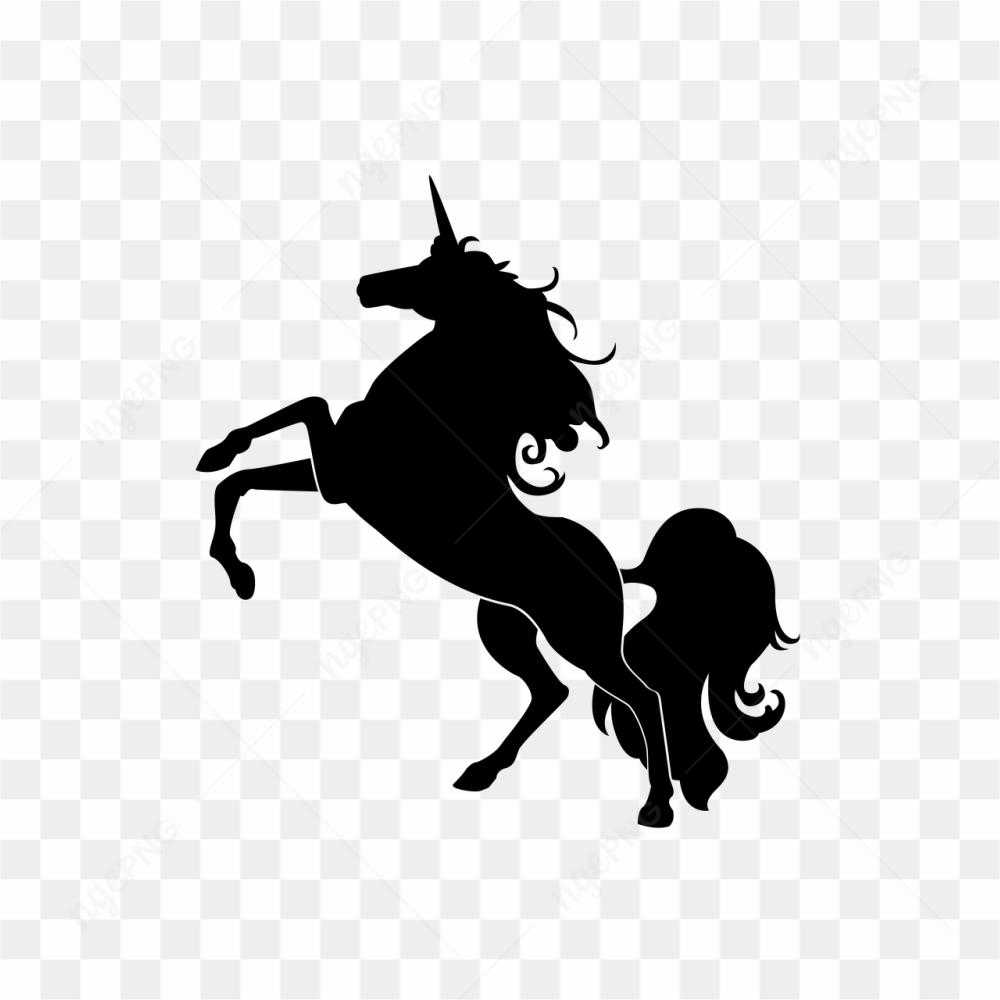 Black Unicorn pic