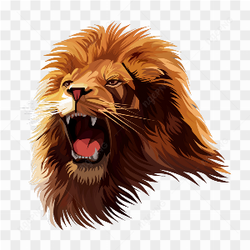 Image lion png