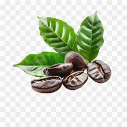Image de caf