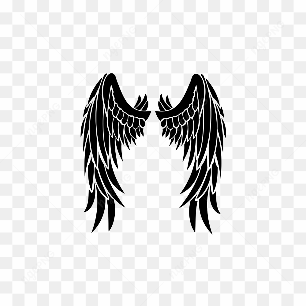 Black angel wing 