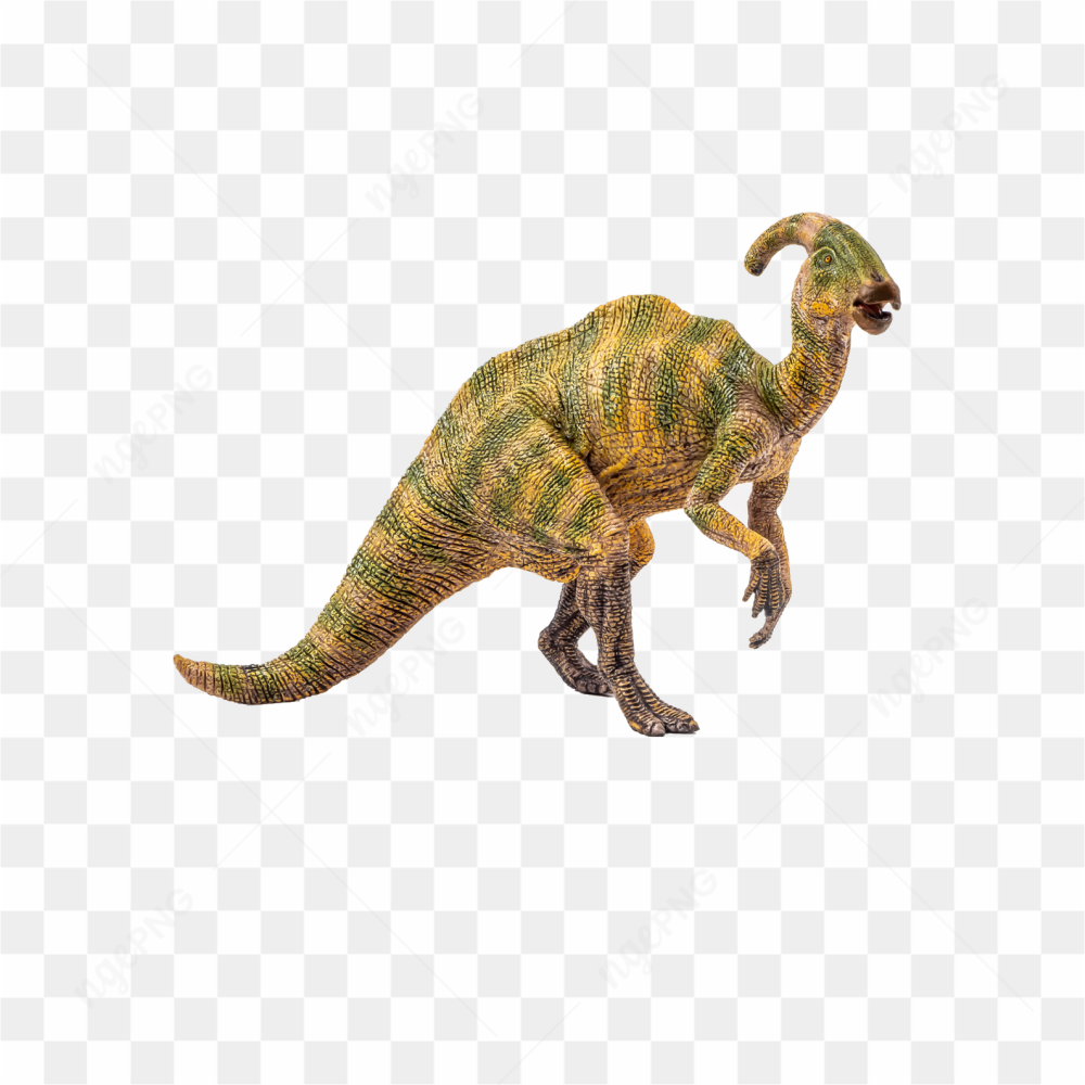 Animals nature dinosaur