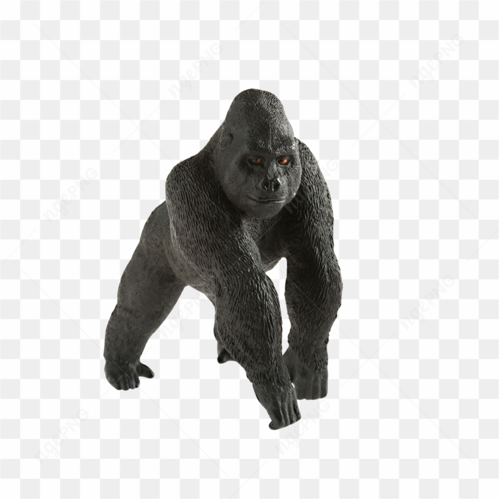 Gorilla animals nature 