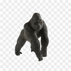 Gorilla animals nature 