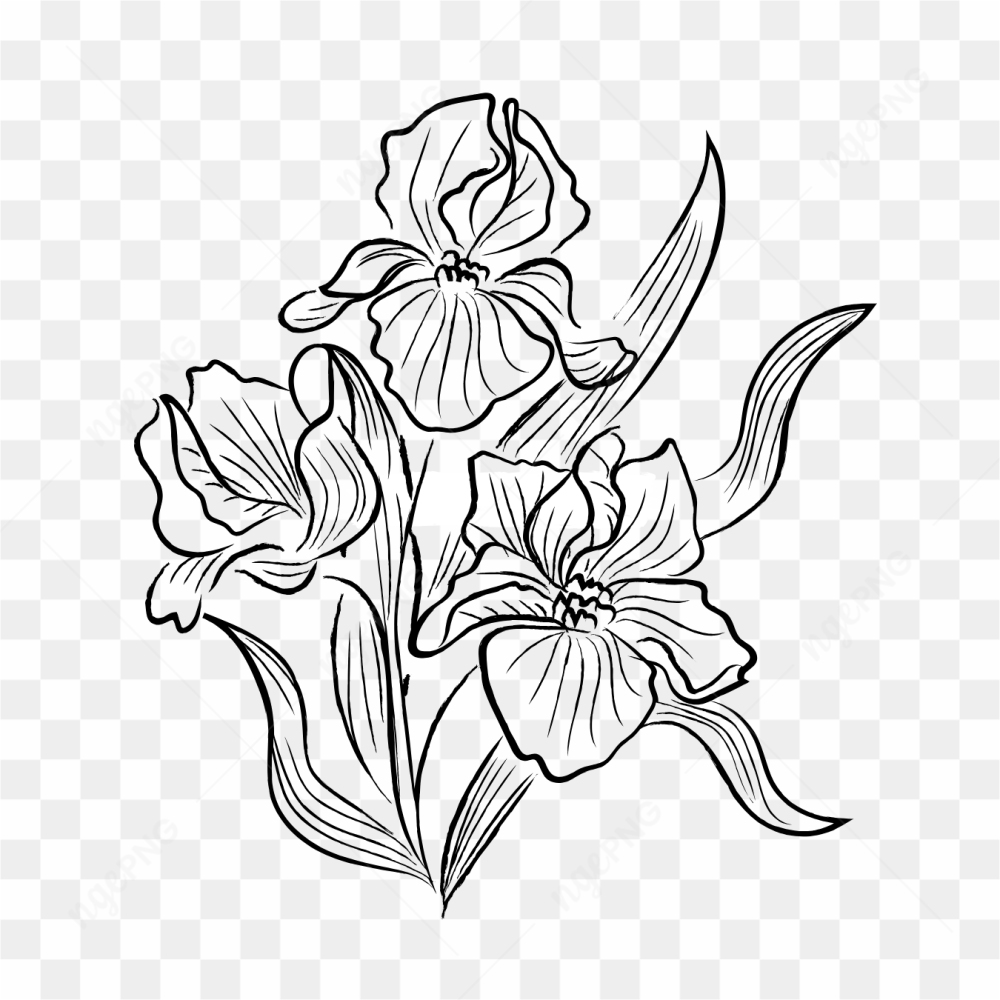 Sketsa bunga daun