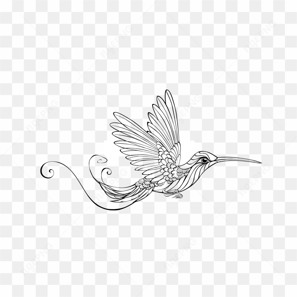 Sketsa burung aestetic