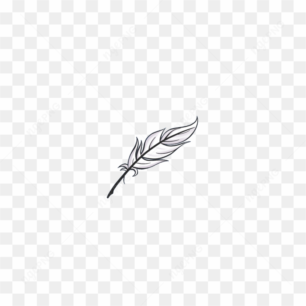 Pretty feather sticker