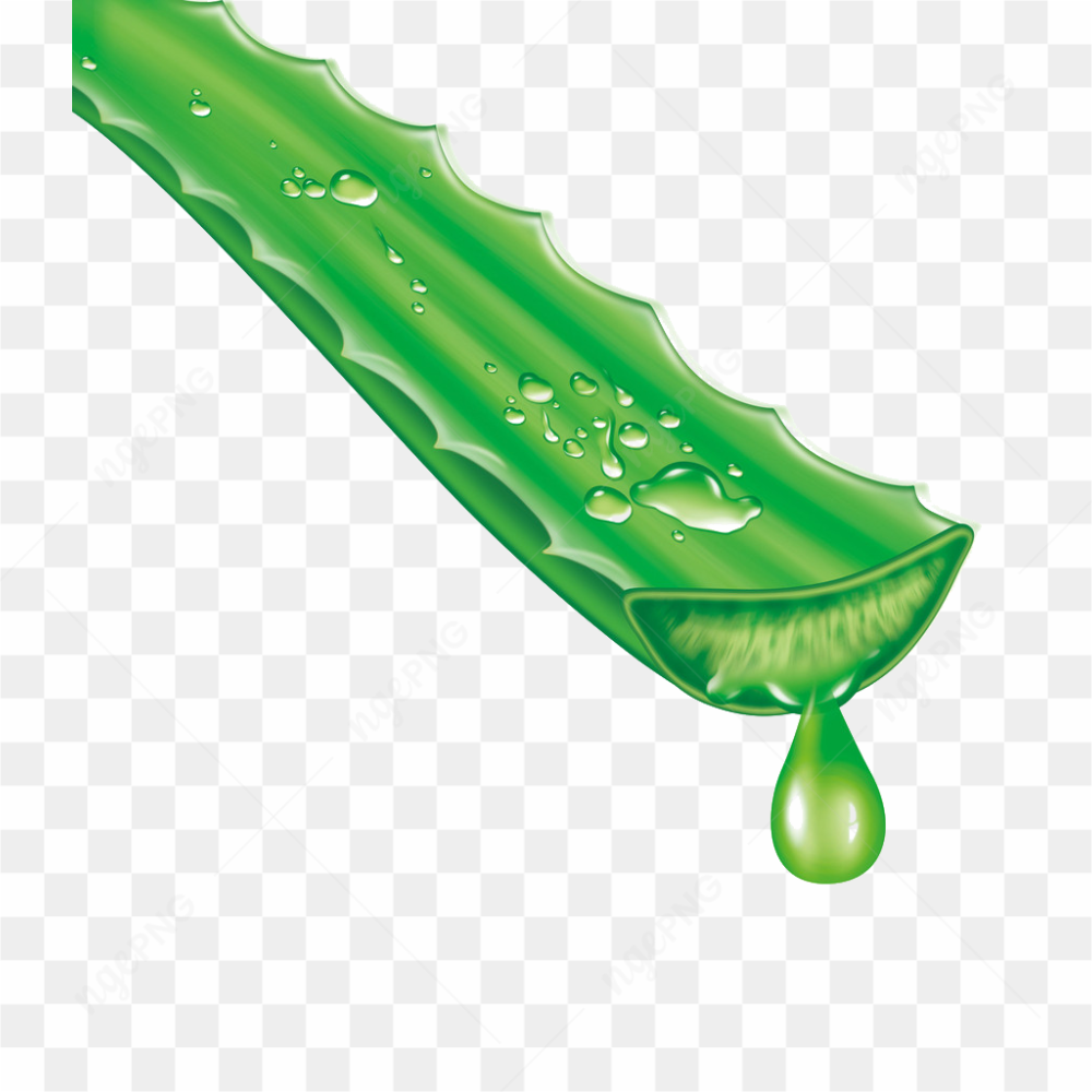 Les bienfaits de l\'aloe vera pour la peau