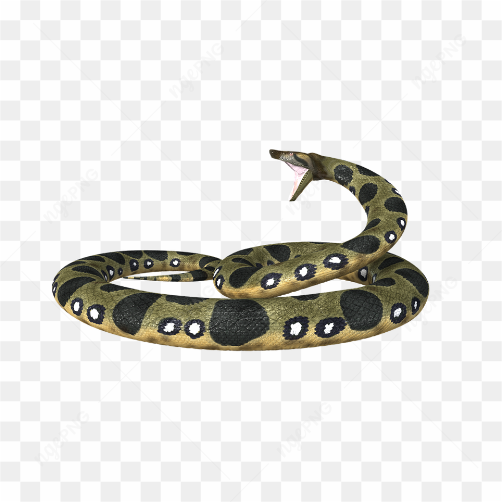 Un Anaconda vert