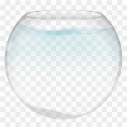 Un bocal d\'un poisson rouge