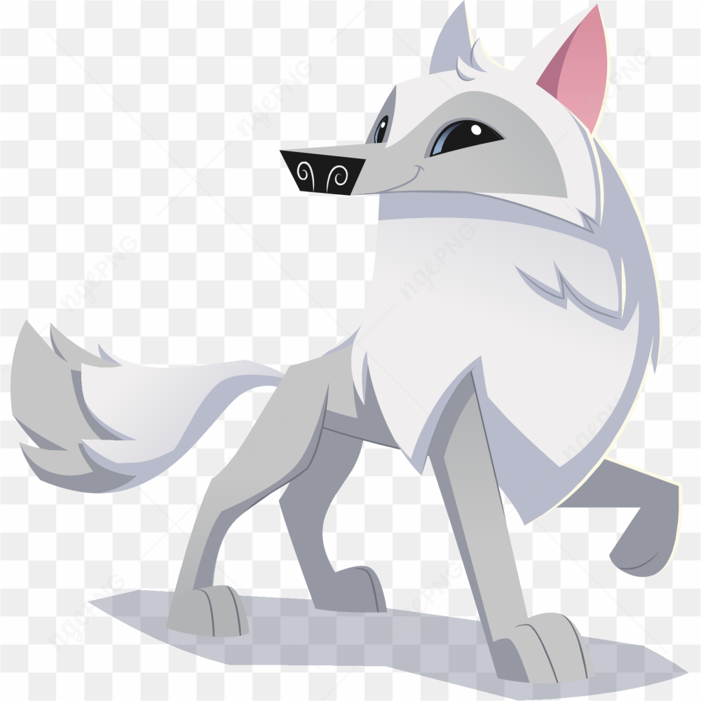 Loup blanc solitaire