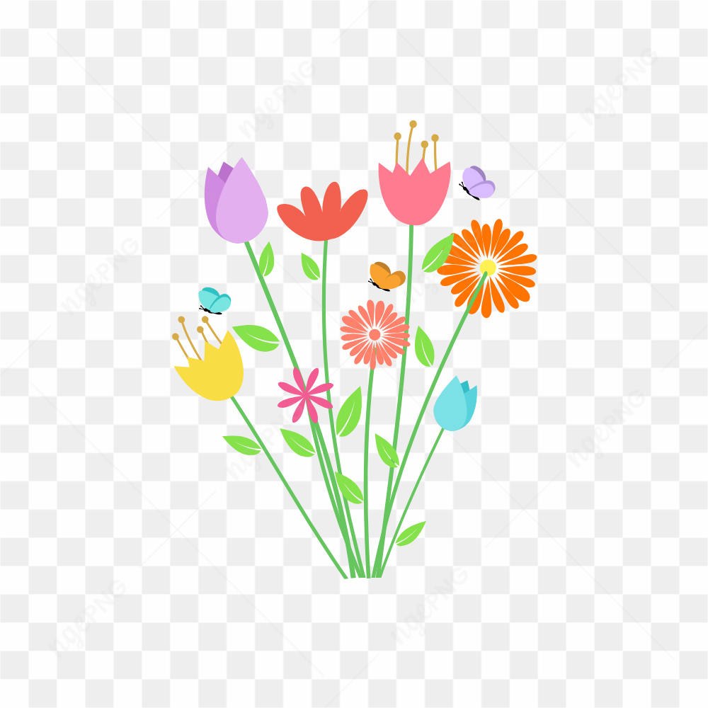 Graphical Image Type