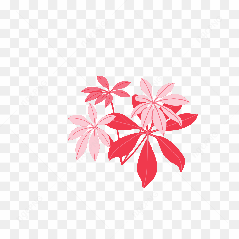 Graphical Image Type