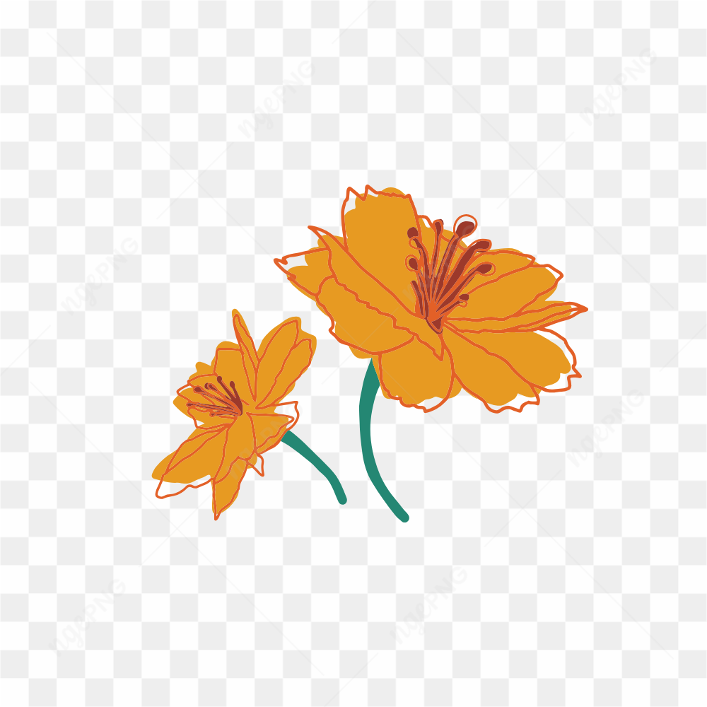 Graphical Image Type